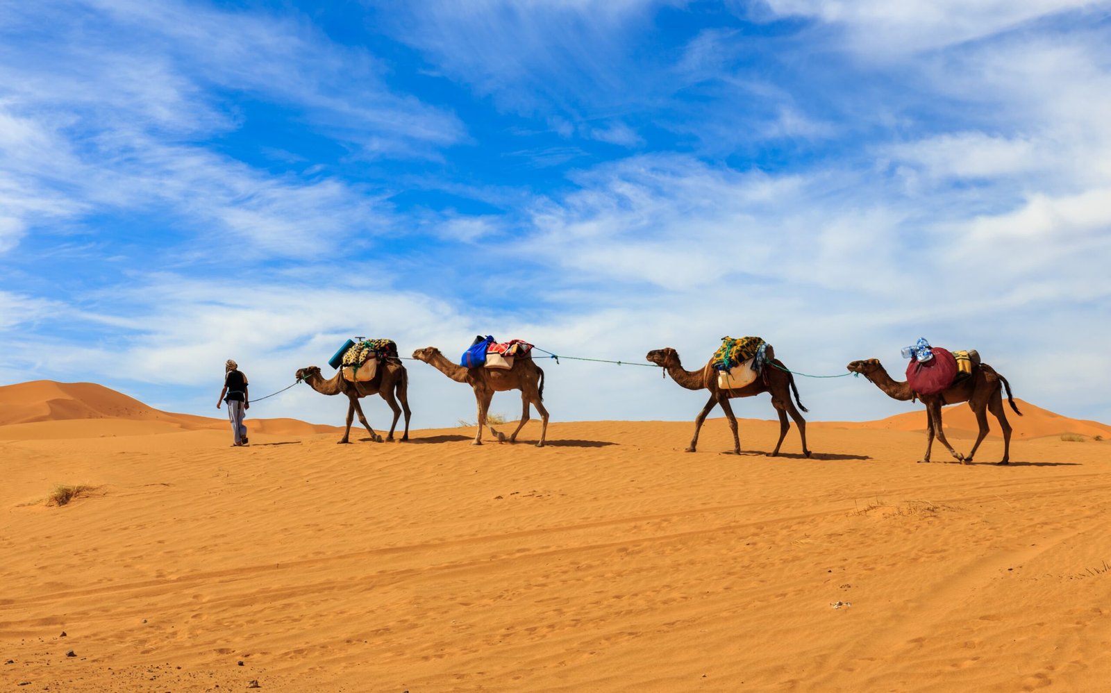 caravan-camels-sahara-desert-morocco (1)